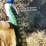 La Ferme De Samson *