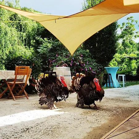 La Ferme De Samson