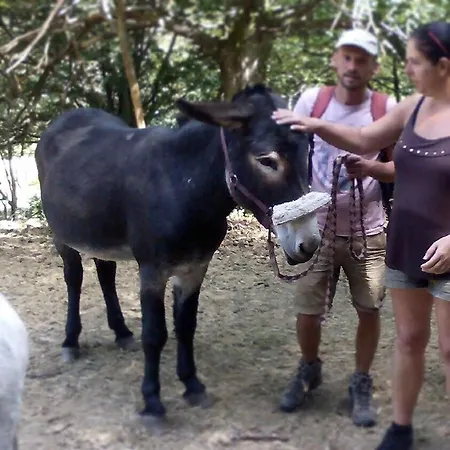 Сasa de vacaciones La Ferme De Samson Saint-Péray