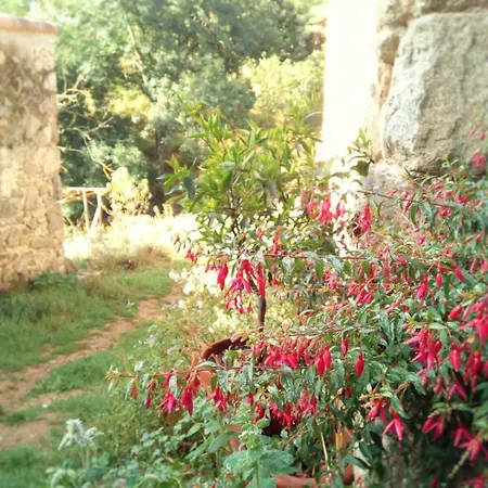 Ferme De Samson