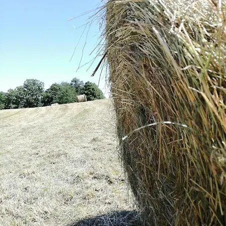 La Ferme De Samson * Saint-Péray