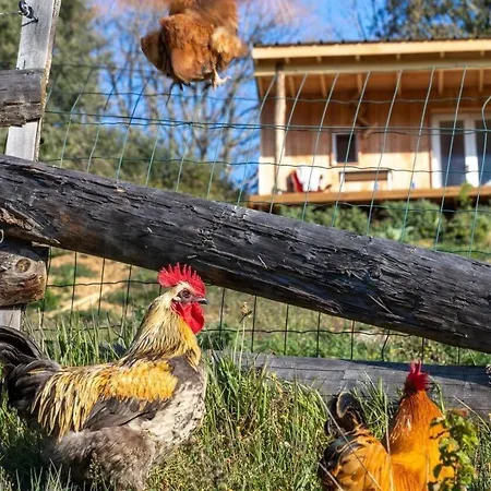 La Ferme De Samson Saint-Péray