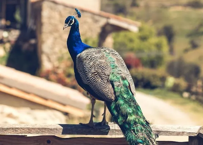 Ferme De Samson Casa de Férias Saint-Péray
