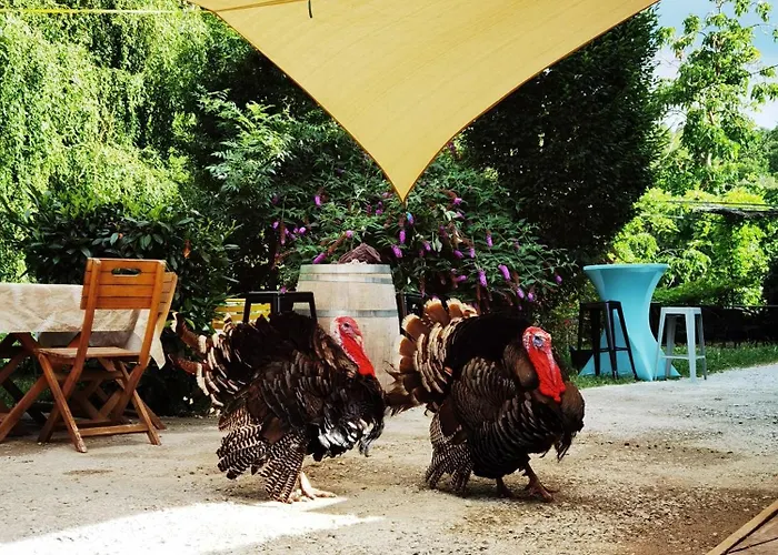 La Ferme De Samson
